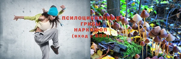 круглые Лабытнанги